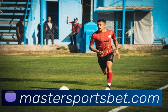 大师体育平台生态图